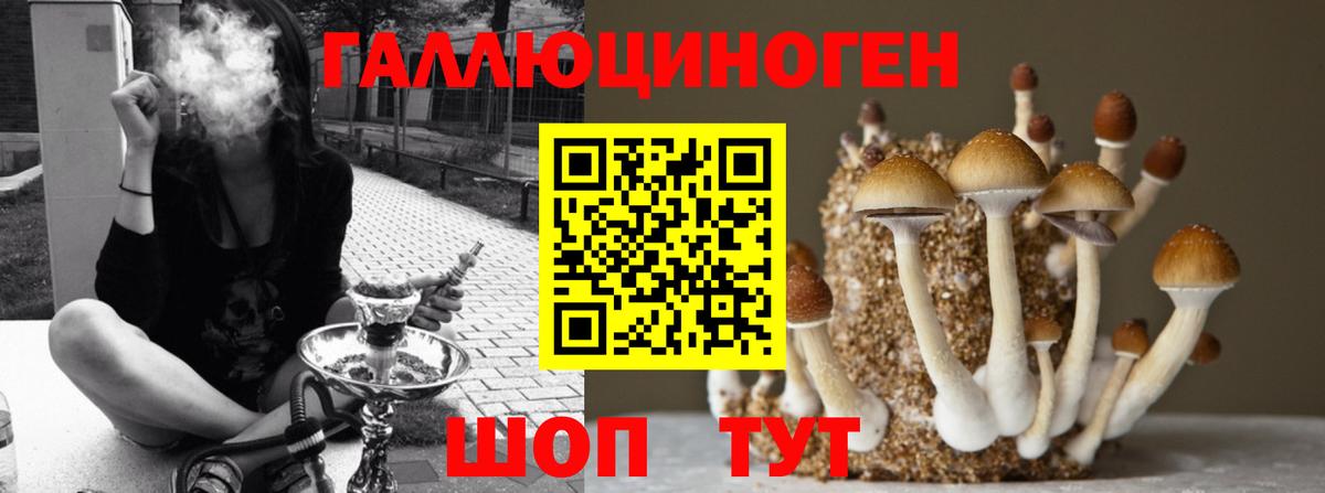 Галлюциногенные грибы ЛСД Уссурийск